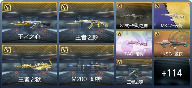 穿越火线：枪战王者V3 6王者武器 133英雄武器 334万化 专家S