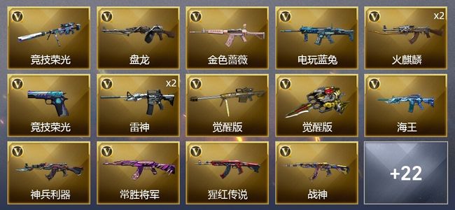 穿越火线（CF）31V武器 1V角色 18皮肤 可排位 枪王