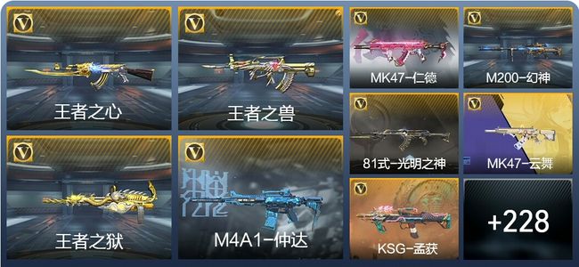 穿越火线：枪战王者15王者武器 237英雄武器 7英雄角色 448万化 专家S