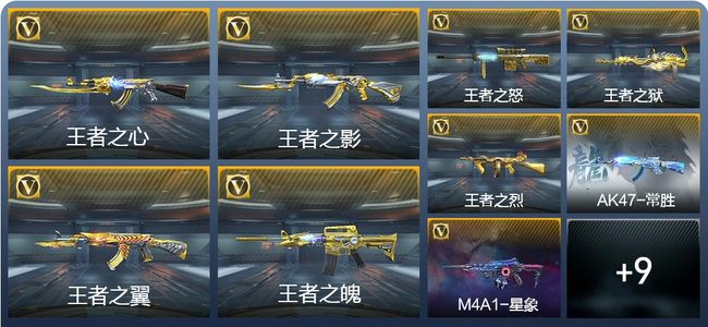穿越火线：枪战王者V9 19王者武器 193英雄武器 5英雄角色 446万化 枪皇S