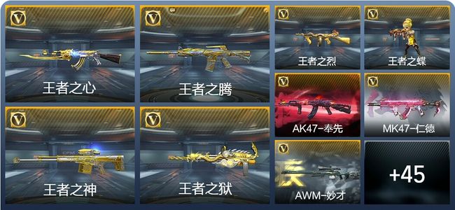 穿越火线：枪战王者V1 17王者武器 1英雄武器 1英雄角色 1万化 枪王