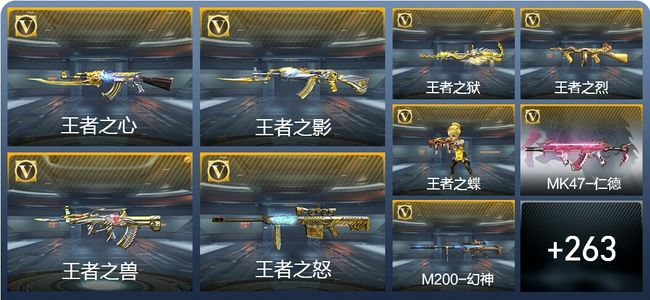 穿越火线：枪战王者V8 16王者武器 296英雄武器 449万化 枪王