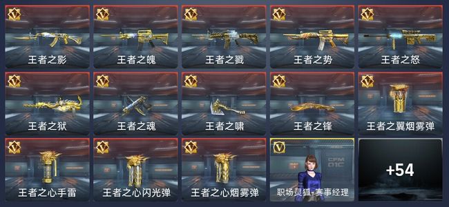 穿越火线：枪战王者V8 13王者 666英雄武器 9英雄角色 432万化 新锐