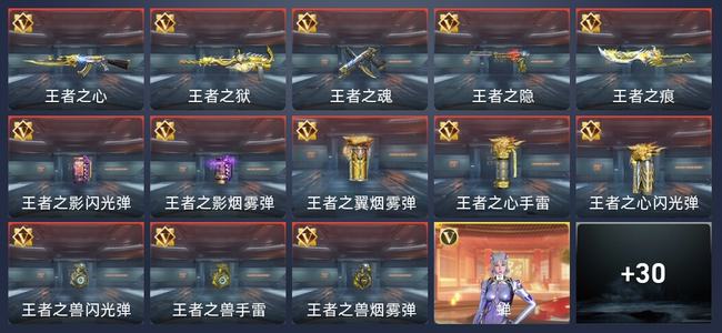 穿越火线：枪战王者V8 13王者 389英雄武器 7英雄角色 631万化 新锐