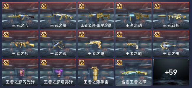 穿越火线：枪战王者V9 14王者 309英雄武器 12英雄角色 576万化 新锐