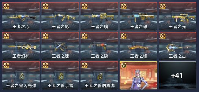 穿越火线：枪战王者V9 13王者 329英雄武器 13英雄角色 262万化 新锐