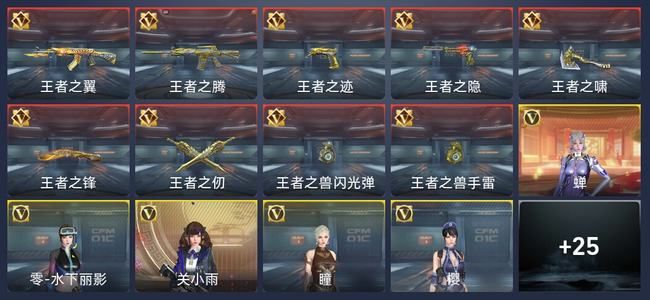 穿越火线：枪战王者V8 9王者 355英雄武器 7英雄角色 434万化 新锐