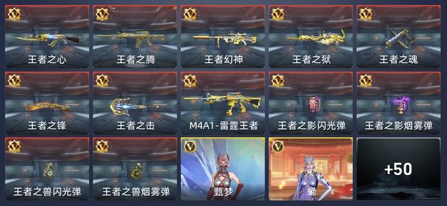 穿越火线：枪战王者V9 12王者 484英雄武器 8英雄角色 366万化 新锐