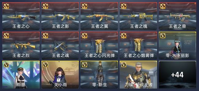 穿越火线：枪战王者V8 9王者 261英雄武器 5英雄角色 454万化 新锐