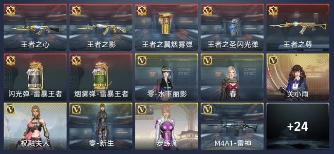 穿越火线：枪战王者V5 7王者 278英雄武器 6英雄角色 302万化 新锐