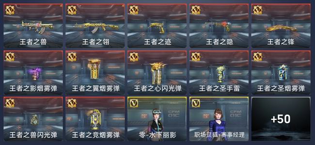 穿越火线：枪战王者V8 12王者 513英雄武器 9英雄角色 753万化 新锐