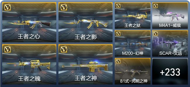 穿越火线：枪战王者V8 15王者武器 243英雄武器 10英雄角色 372万化 专家S