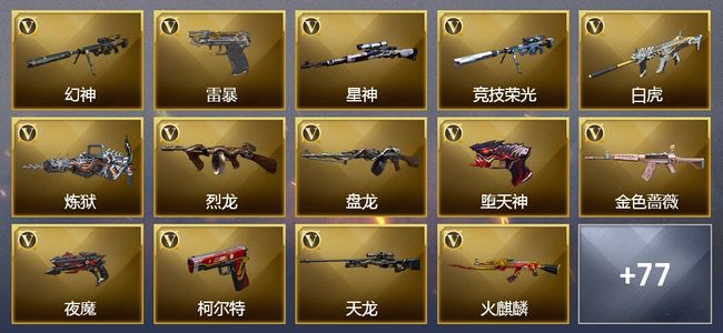 穿越火线（CF）5炫金武器 96V武器 3V角色 30皮肤 可排位