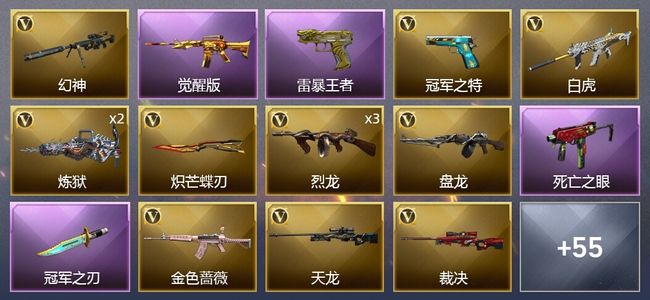 穿越火线（CF）12王者武器 53V武器 3V角色 29皮肤 可排位 枪王