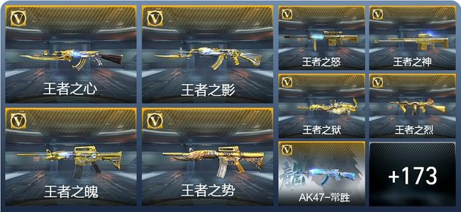 穿越火线：枪战王者V9 17王者武器 214英雄武器 5英雄角色 专家S