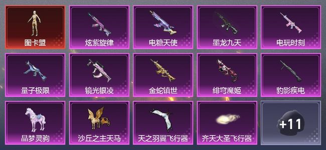 和平精英【苹果版】1载具 8粉装 177枪皮 118套装 0印记