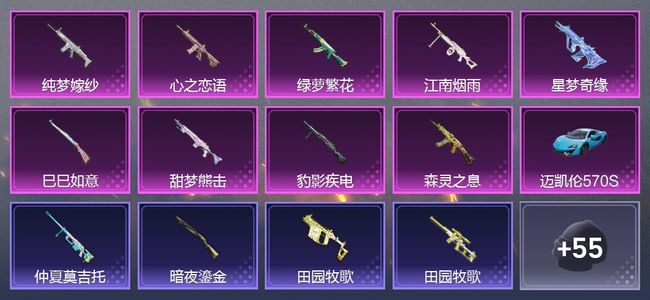 和平精英【苹果版】1载具 2粉装 187枪皮 119套装 0印记