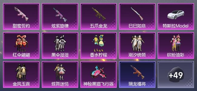 和平精英1载具 13粉装 248枪皮 199套装 0印记