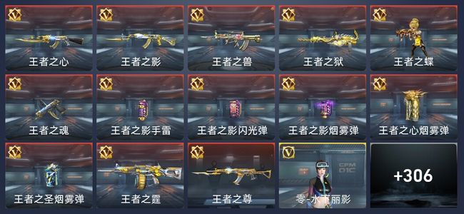穿越火线：枪战王者13王者 307英雄武器 13英雄角色 622万化 精英