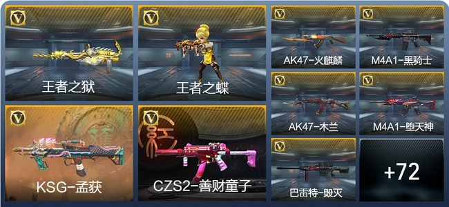 穿越火线：枪战王者V1 2王者武器 93英雄武器 1英雄角色 152万化 专家