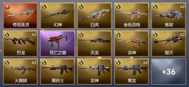 穿越火线（CF）1传说武器 2炫金武器 53V武器 1V角色 4皮肤 可排位 传奇