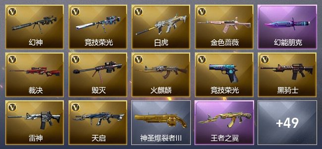 穿越火线（CF）1王者武器 51V武器 5V角色 12皮肤 可排位 传奇