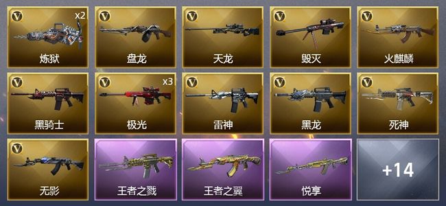 穿越火线（CF）3王者武器 25V武器 4V角色 5皮肤 可排位 宗师