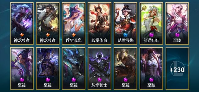 英雄联盟（LOL）1卓越 16神话 17臻彩 22限定 23传说 243皮肤 96炫彩 172英雄 黑铁