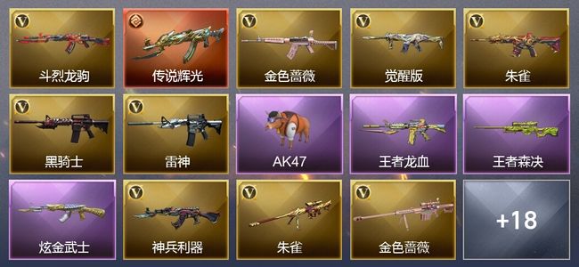 穿越火线（CF）1传说武器 2王者武器 1炫金武器 24V武器 6皮肤 可排位