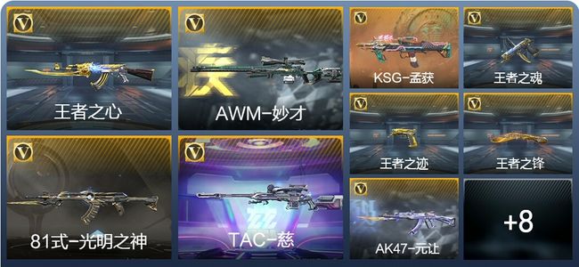 穿越火线：枪战王者V6 228英雄武器 新锐