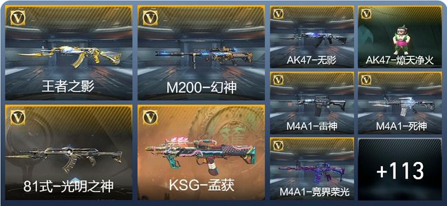 穿越火线：枪战王者V6 2王者武器 136英雄武器 2英雄角色 309万化 专家