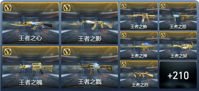 穿越火线：枪战王者V9 25王者武器 250英雄武器 9英雄角色 564万化 枪王SSS