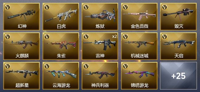 穿越火线（CF）31V武器 1V角色 11皮肤 可排位 传奇