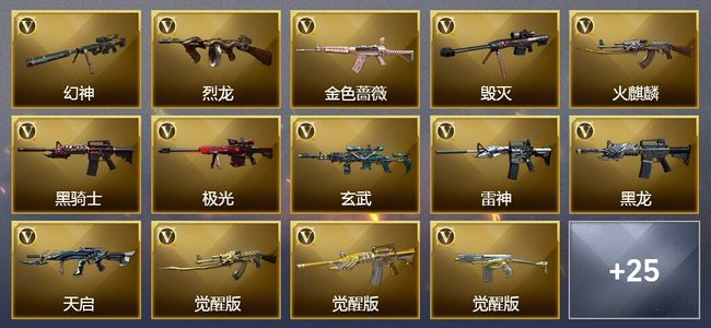 穿越火线（CF）3王者武器 1炫金武器 38V武器 11皮肤 可排位 新锐