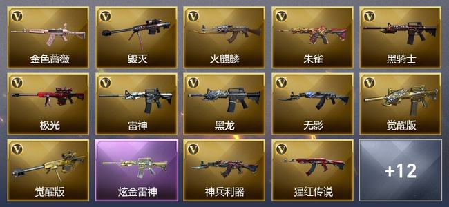 穿越火线（CF）1炫金武器 21V武器 1V角色 6皮肤 可排位 传奇