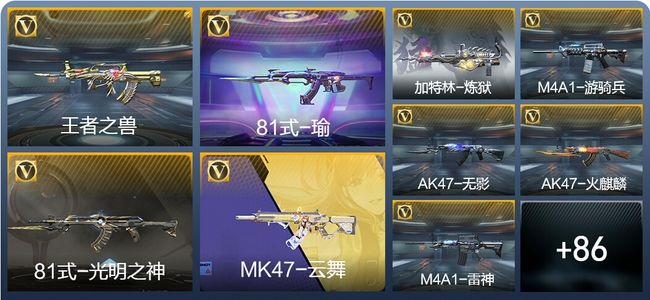 穿越火线：枪战王者V6 1王者武器 95英雄武器 4英雄角色 202万化 专家S