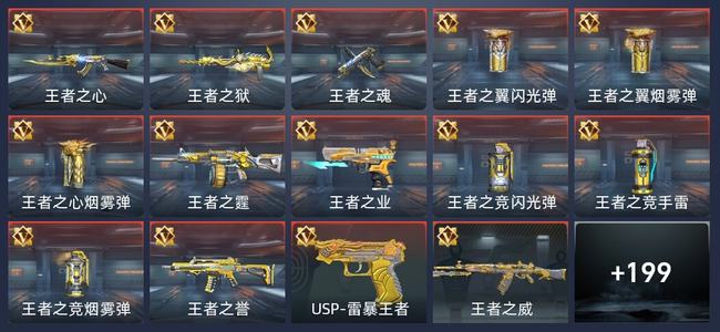 穿越火线：枪战王者V5 14王者 202英雄武器 11英雄角色 315万化 枪圣SS