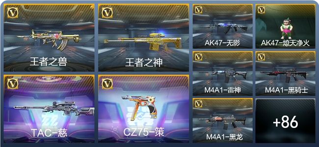 穿越火线：枪战王者V4 2王者武器 113英雄武器 2英雄角色 164万化 大师SS