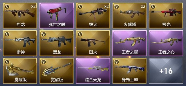 穿越火线（CF）2王者武器 1炫金武器 22V武器 1V角色 16皮肤 可排位 专家