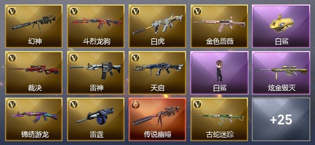 穿越火线（CF）1传说武器 1炫金武器 28V武器 12皮肤 可排位 新锐