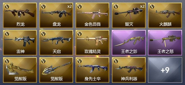 穿越火线（CF）2王者武器 23V武器 8皮肤 可排位 专家