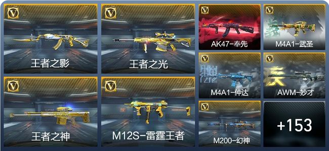 穿越火线：枪战王者V8 14王者武器 173英雄武器 6英雄角色 300万化 专家