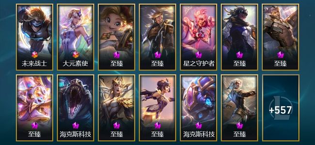 英雄联盟（LOL）2终极 24神话 14臻彩 98限定 52传说 570皮肤 179炫彩 172英雄 铂金