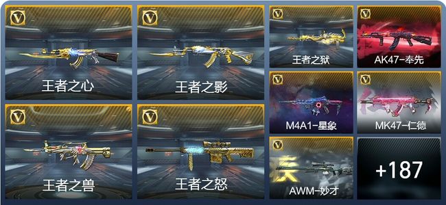 穿越火线：枪战王者V8 9王者武器 206英雄武器 585万化 专家