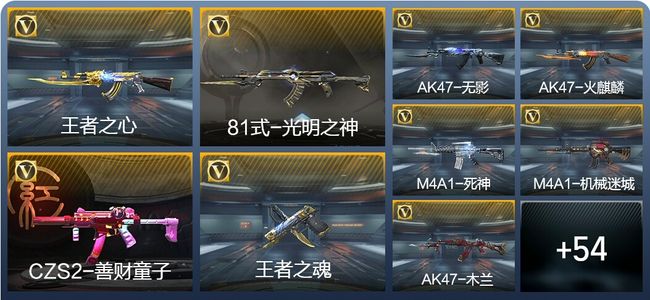 穿越火线：枪战王者V2 3王者武器 69英雄武器 176万化 专家S