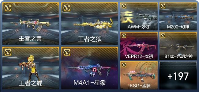 穿越火线：枪战王者3王者武器 206英雄武器 9英雄角色 314万化 大师S