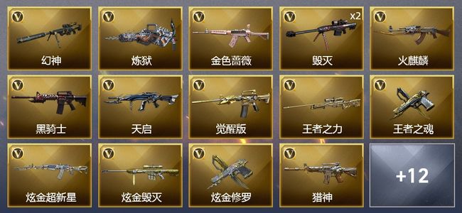 穿越火线（CF）6王者武器 3炫金武器 19V武器 1V角色 2皮肤 可排位