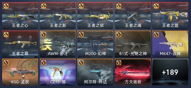 穿越火线：枪战王者V6 6王者 219英雄武器 万化 新锐