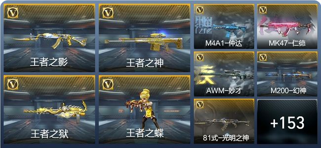 穿越火线：枪战王者V4 6王者武器 177英雄武器 4英雄角色 332万化 专家S