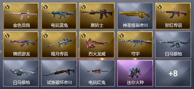 穿越火线（CF）8V武器 1V角色 9皮肤 可排位 专家